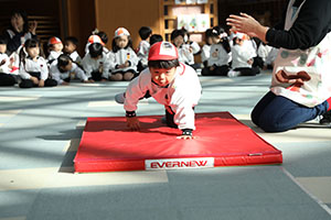 スポーツフェスタ開催★　うさぎ・りす・ことり