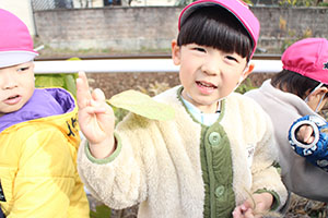 お散歩へでかけました　あひる・ばら