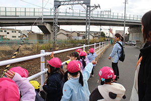 お散歩へでかけました　あひる・ばら