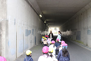 お散歩へでかけました　あひる・ばら