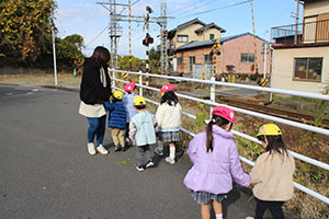 お散歩へでかけました　あひる・ばら