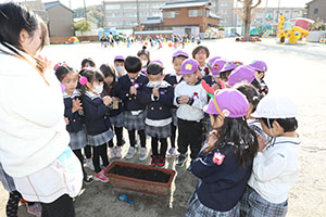 チューリップの球根を植えました🌷　A・C