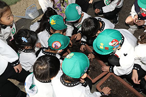 チューリップの球根を植えました🌷　A・C