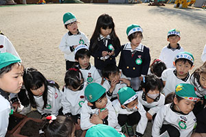 チューリップの球根を植えました🌷　A・C