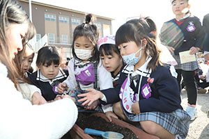 チューリップの球根を植えました🌷　A・C