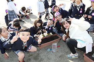 チューリップの球根を植えました🌷　A・C