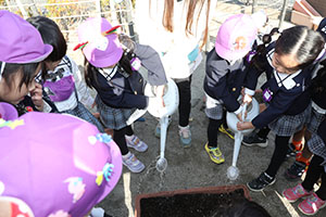 チューリップの球根を植えました🌷　A・C