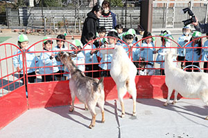 ふれあい動物園　たのしかったね　年少組