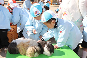 ふれあい動物園　たのしかったね　年少組