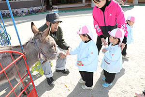 ふれあい動物園　たのしかったね　年少組