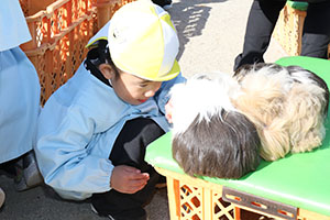 ふれあい動物園　たのしかったね　年少組