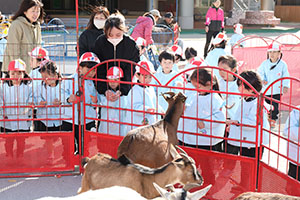 ふれあい動物園　たのしかったね　年少組