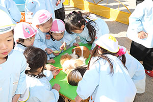 ふれあい動物園　たのしかったね　年少組