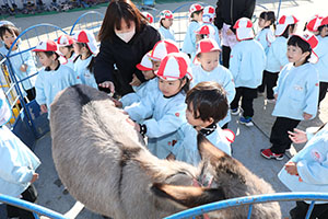 ふれあい動物園　たのしかったね　年少組