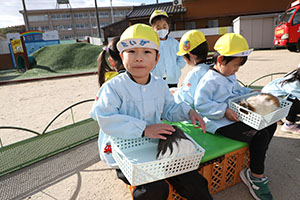 ふれあい動物園　たのしかったね　年中組　ひよこ・あひる・ぺんぎん　NO.2