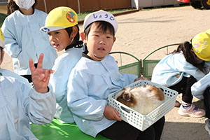 ふれあい動物園　たのしかったね　年中組　ひよこ・あひる・ぺんぎん　NO.2