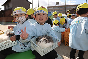 ふれあい動物園　たのしかったね　年中組　ひよこ・あひる・ぺんぎん　NO.2