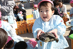 ふれあい動物園　たのしかったね　年中組　ひよこ・あひる・ぺんぎん　NO.2