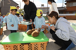 ふれあい動物園　たのしかったね　年中組　ひよこ・あひる・ぺんぎん　NO.2