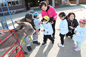 ふれあい動物園　たのしかったね　年中組　ひよこ・あひる・ぺんぎん　NO.2