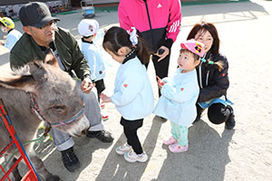 ふれあい動物園　たのしかったね　年中組　ひよこ・あひる・ぺんぎん　NO.2