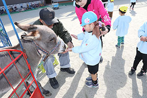 ふれあい動物園　たのしかったね　年中組　ひよこ・あひる・ぺんぎん　NO.2