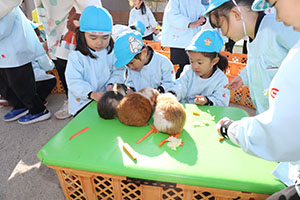 ふれあい動物園　たのしかったね　年中組　ひよこ・あひる・ぺんぎん　NO.2