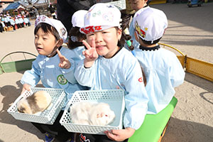 ふれあい動物園　たのしかったね　年中組　ひよこ・あひる・ぺんぎん　NO.2