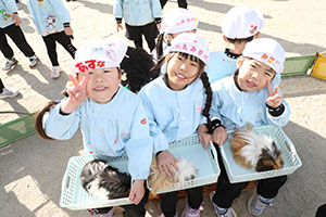 ふれあい動物園　たのしかったね　年中組　ひよこ・あひる・ぺんぎん　NO.2