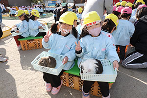 ふれあい動物園　たのしかったね　年中組　ひよこ・あひる・ぺんぎん　NO.1