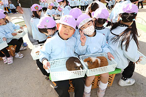 ふれあい動物園　たのしかったね　年中組　ひよこ・あひる・ぺんぎん　NO.1