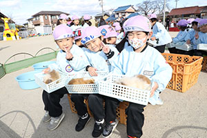 ふれあい動物園　たのしかったね　年中組　ひよこ・あひる・ぺんぎん　NO.1