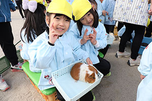 ふれあい動物園　たのしかったね　年中組　ひよこ・あひる・ぺんぎん　NO.1