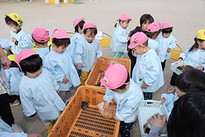 ふれあい動物園　たのしかったね　年中組　ひよこ・あひる・ぺんぎん　NO.1
