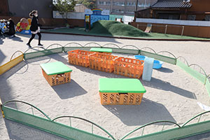 ふれあい動物園　たのしかったね　年中組　ひよこ・あひる・ぺんぎん　NO.1