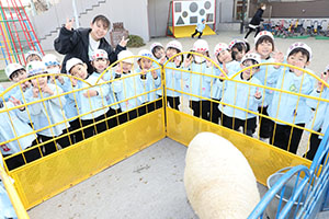 ふれあい動物園　たのしかったね　年中組　ひよこ・あひる・ぺんぎん　NO.1
