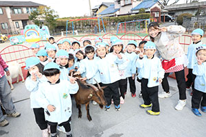ふれあい動物園　たのしかったね　年中組　ひよこ・あひる・ぺんぎん　NO.1
