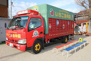 ふれあい動物園　たのしかったね　年中組　ひよこ・あひる・ぺんぎん　NO.1