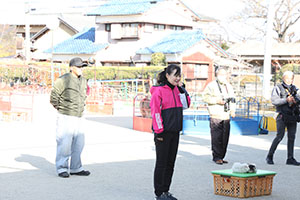 ふれあい動物園　たのしかったね　年中組　ひよこ・あひる・ぺんぎん　NO.1
