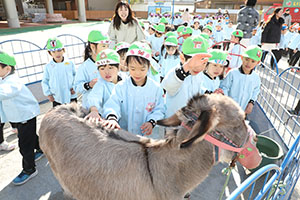 ふれあい動物園　たのしかったね　年長組