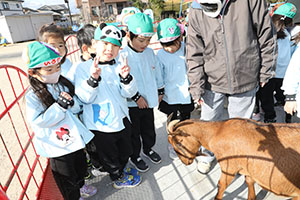 ふれあい動物園　たのしかったね　年長組