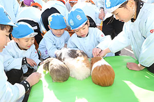 ふれあい動物園　たのしかったね　年長組