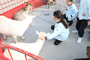 ふれあい動物園　たのしかったね　年長組