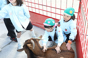 ふれあい動物園　たのしかったね　年長組