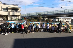 お散歩へでかけました　あひる・さくら