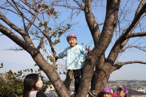 お散歩たのしかったね　ばら・C