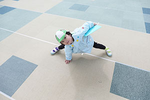 冬あつめゲーム　B・ことり