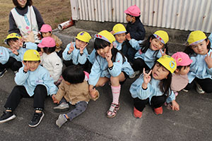 お散歩へでかけました　ひよこ・ひまわり