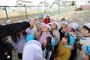 お散歩へでかけました　ぺんぎん・たんぽぽ