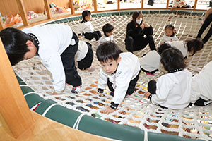 ネット遊具で遊びました　うさぎ